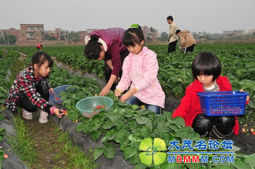 20120101093731905.jpg