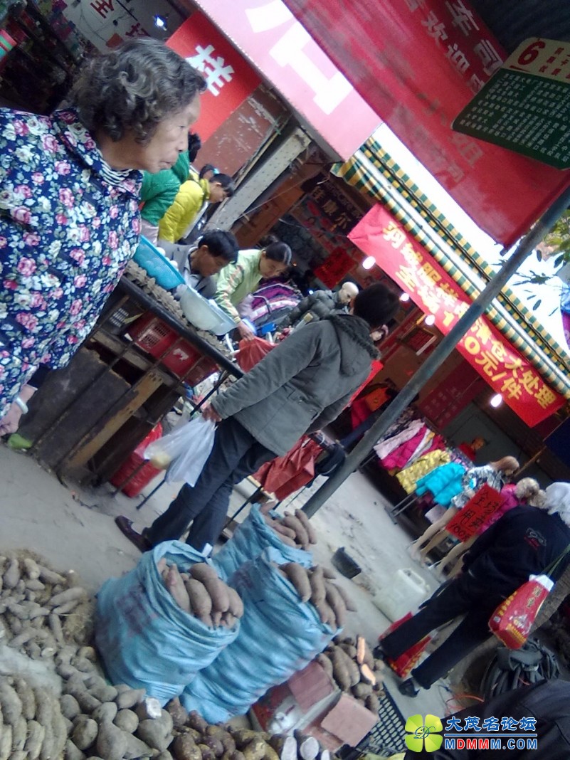 201201041224.jpg