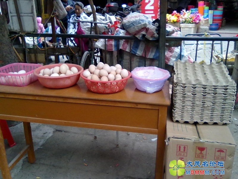 201201041225.jpg