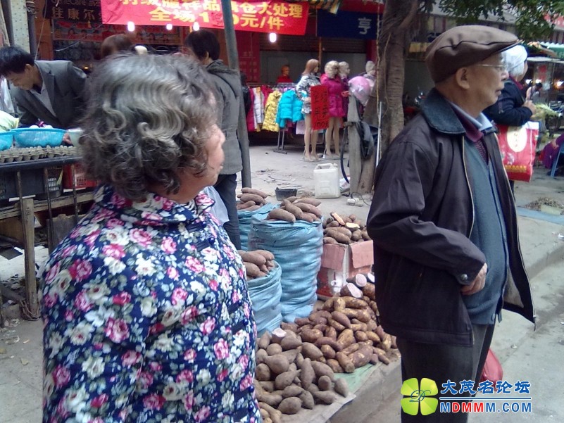 201201041226.jpg