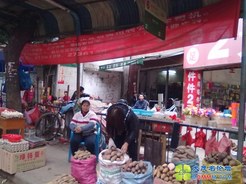 201201091243.jpg