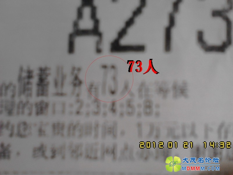 IMG10203.jpg