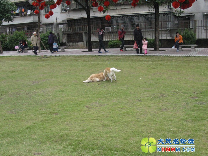 Ƭ 024.jpg