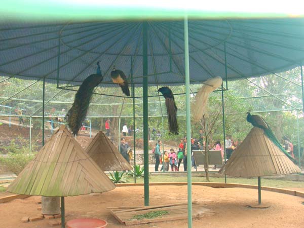 16.JPG