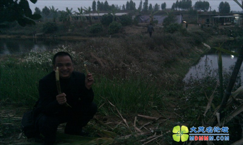 IMAG0959.jpg