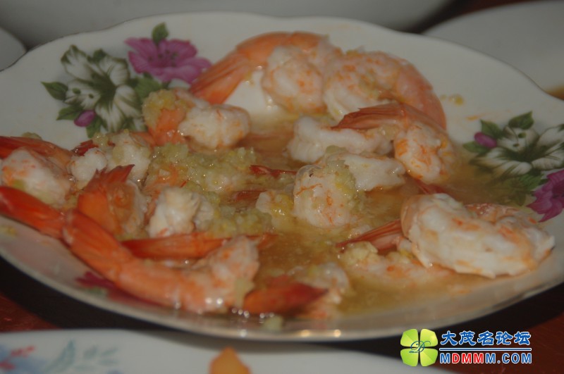conew_dsc_8042.jpg