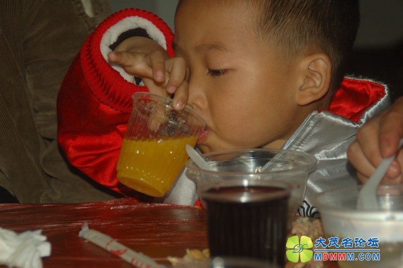 conew_dsc_8012.jpg