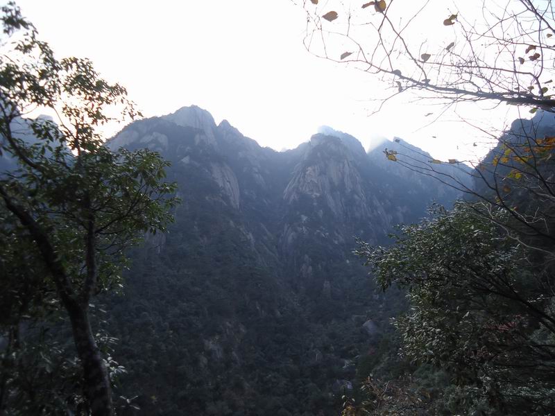 С DSC01693.JPG