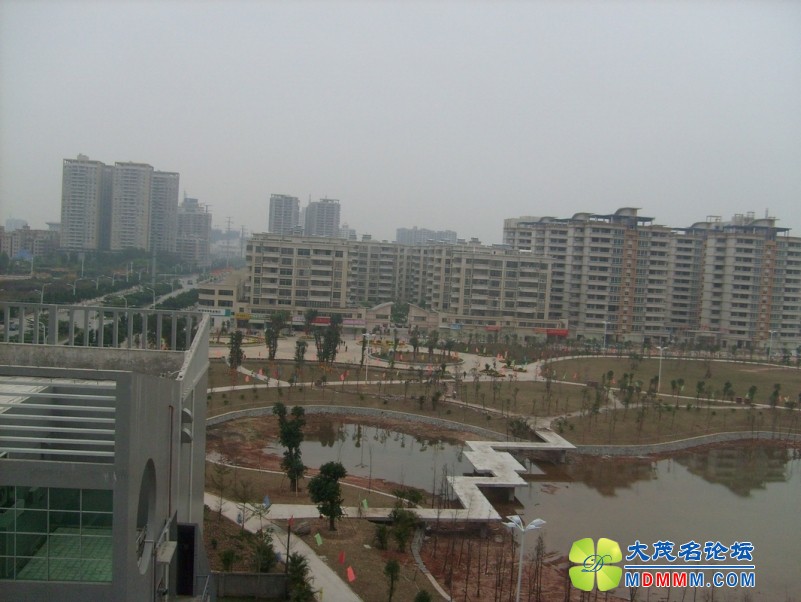 S6303579.jpg