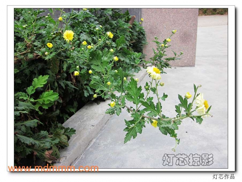 nEO_IMG_IMG_2570.jpg