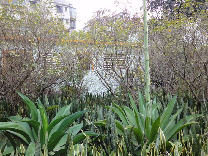 dsc04639_.jpg