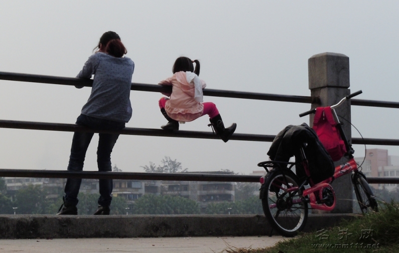 20120216045227868.jpg