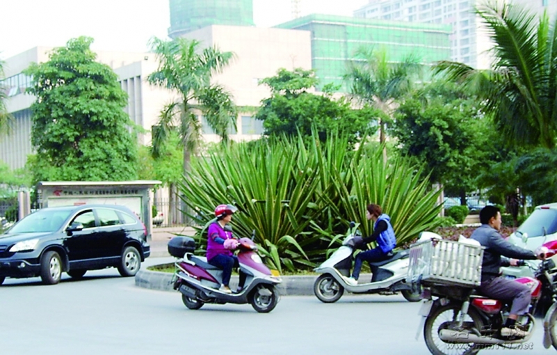 20120216082439232.jpg