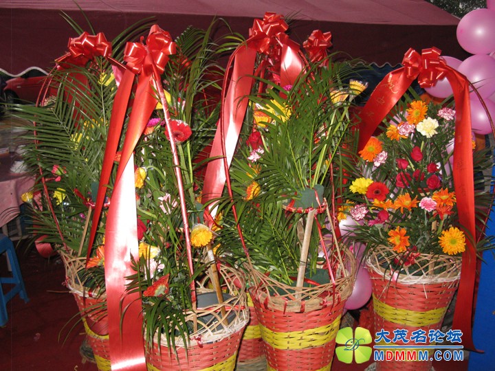 Ƭ 008.jpg
