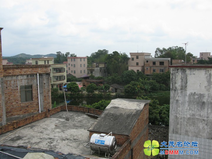 Ƭ 032.jpg