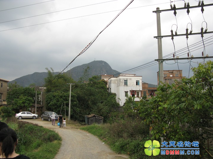 Ƭ 073.jpg