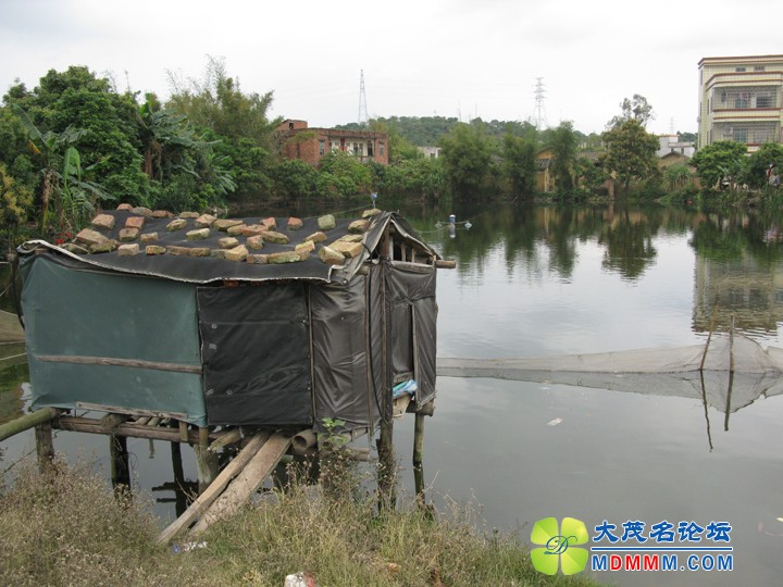 Ƭ 042.jpg
