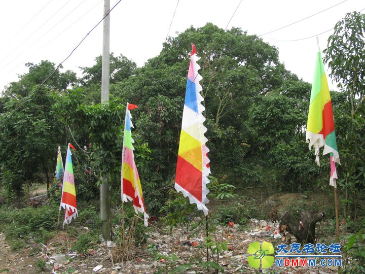 Ƭ 056.jpg