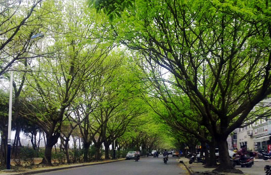 201203202939.jpg