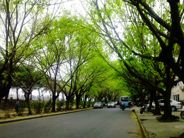 201203202940.jpg