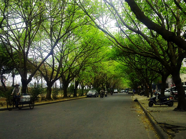 201203202941.jpg