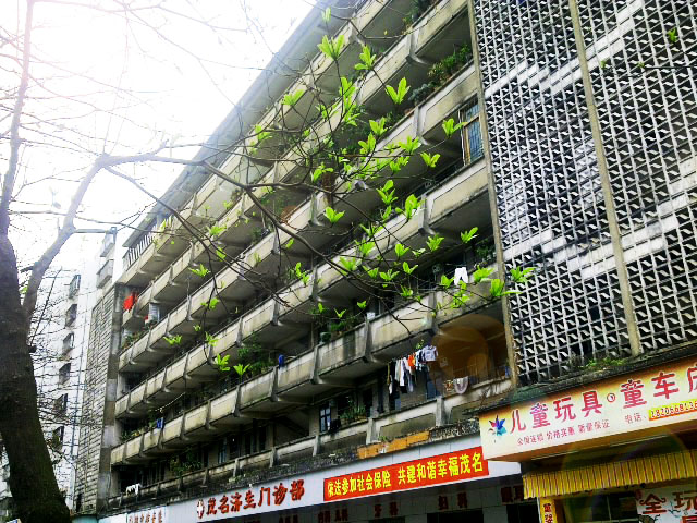 201203202950.jpg
