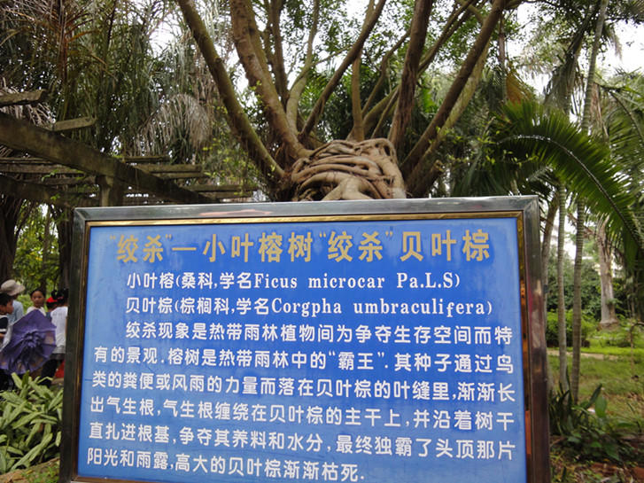 dsc04951_.jpg