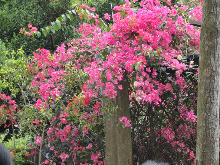 dsc04957_.jpg