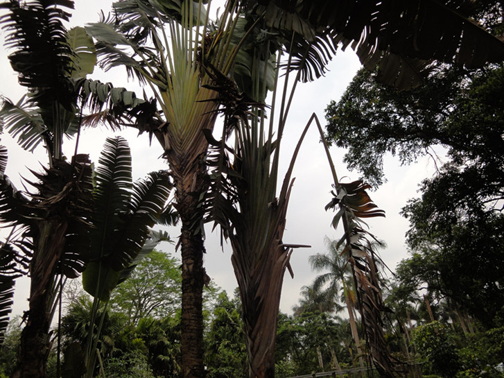 dsc04959_.jpg