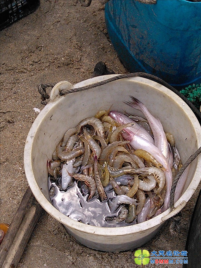 IMG_20120421_113614.jpg