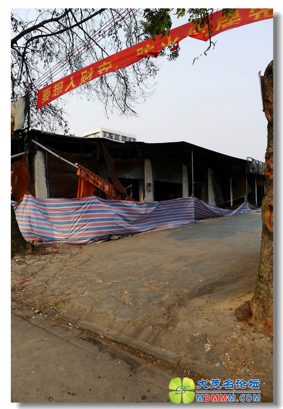 2012-3-29 صλ ŬӪΧ 26.jpg