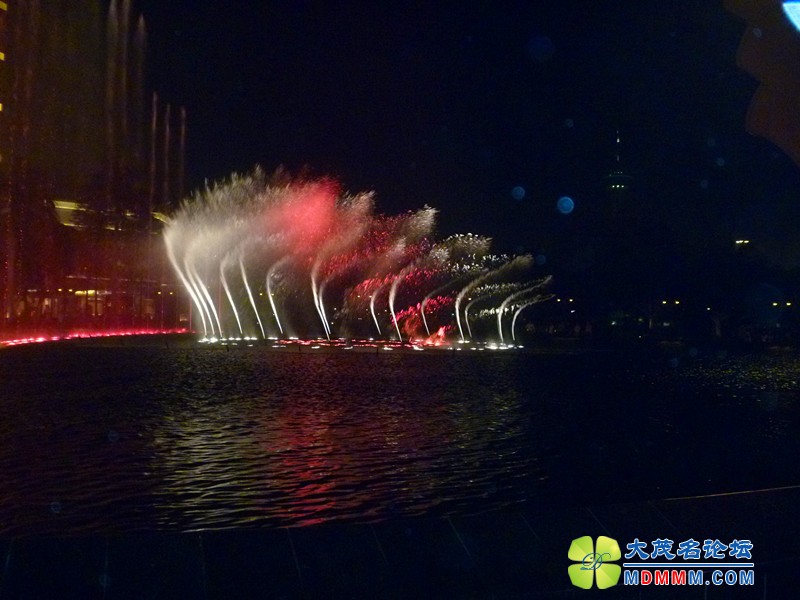 P1010593_.jpg