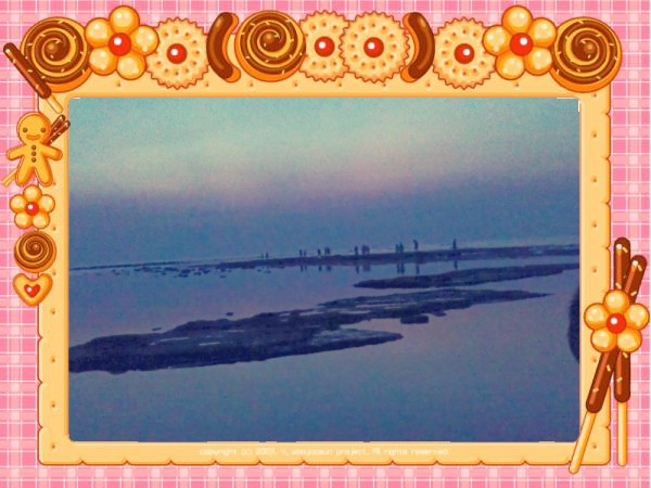 IMAG0100_conew1.jpg