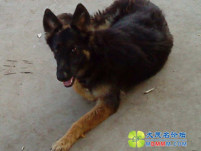DSC01702.JPG