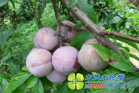 235446idh11zhx44g7hh34.jpg