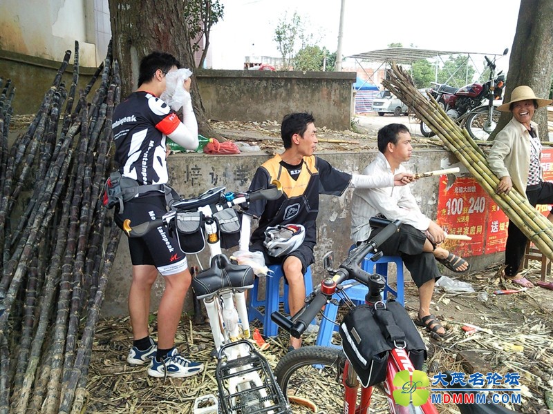SNC00197_.jpg