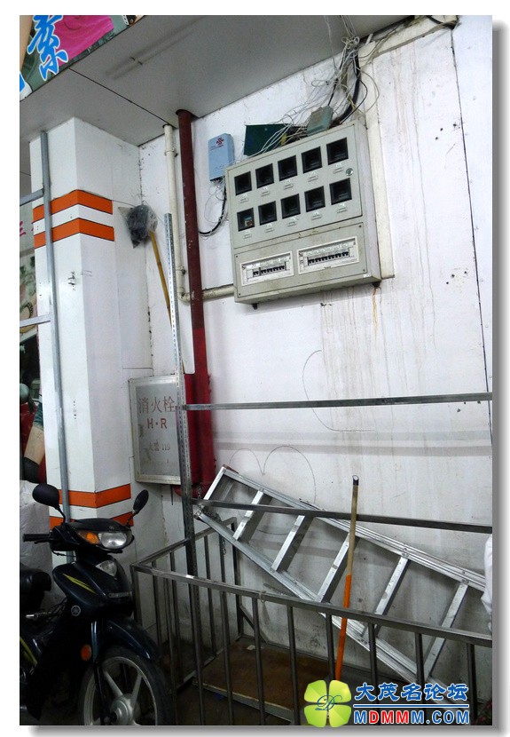 2012-3-31 Ѳ鶽 г 20.jpg