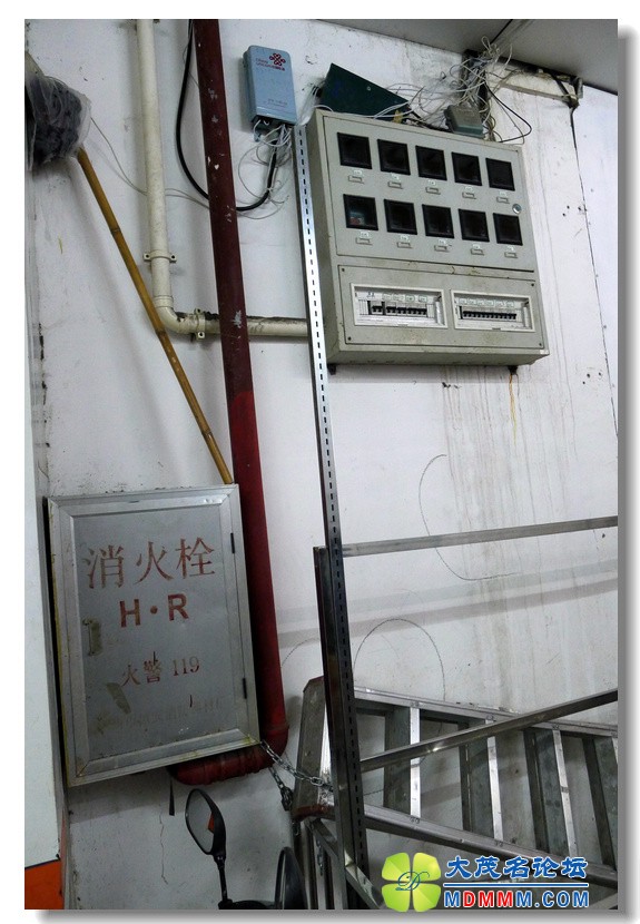 2012-3-31 Ѳ鶽 г 22.jpg