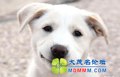 QQͼ20120522202312.png