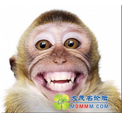 QQͼ20120522202257.png