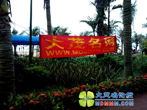 IMG20120617111619.jpg