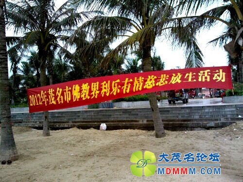IMG20120617112041.jpg