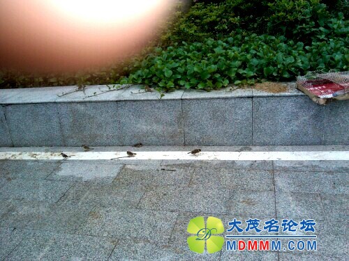 IMG20120617114217.jpg