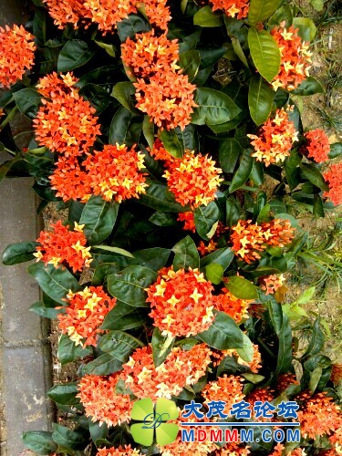 IMG20120617114655.jpg