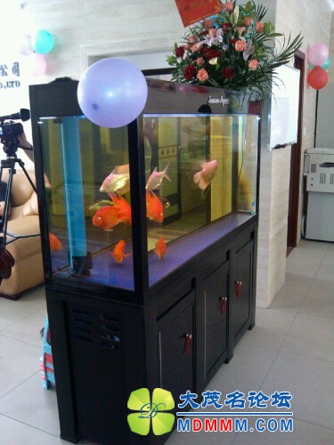 IMG20120704111208.jpg