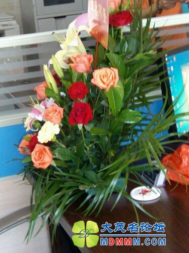 IMG20120704111422.jpg