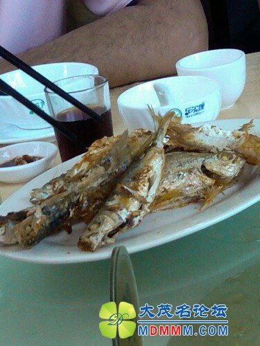 IMG20120704123335.jpg