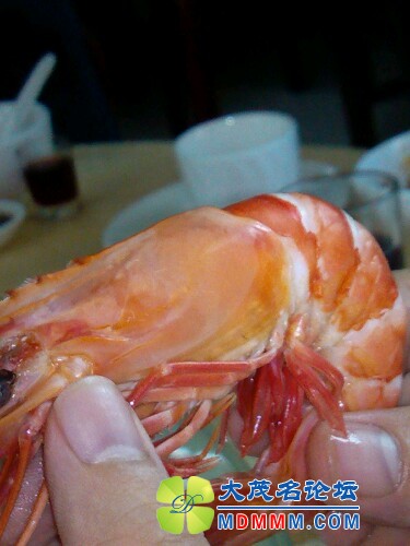 IMG20120704124137.jpg