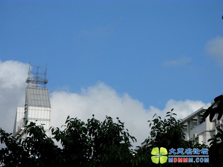 Ƭ 008.jpg