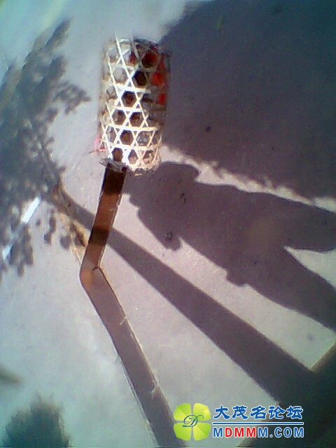 Ƭ0311.jpg